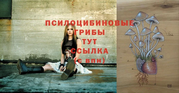стаф Балабаново