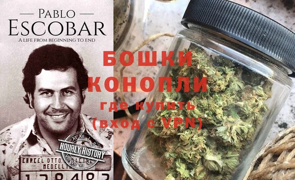 трава Балахна