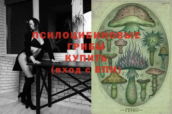 гашик Баксан