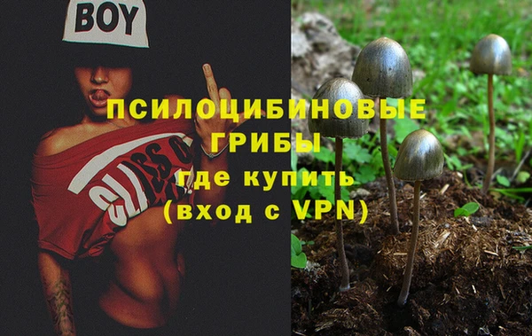 гашик Баксан