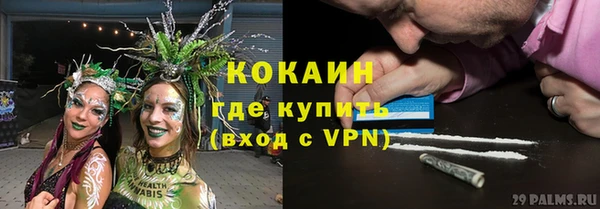 прущие грибы Тольятти