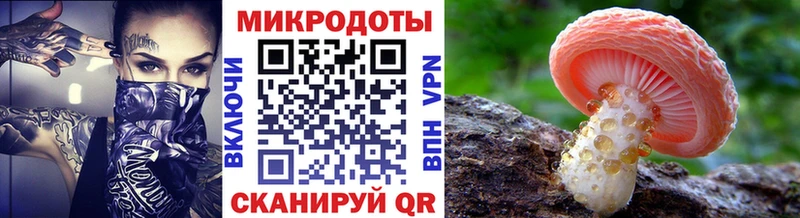 Галлюциногенные грибы Cubensis  закладка  Городище 