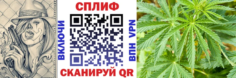 Канабис семена Городище